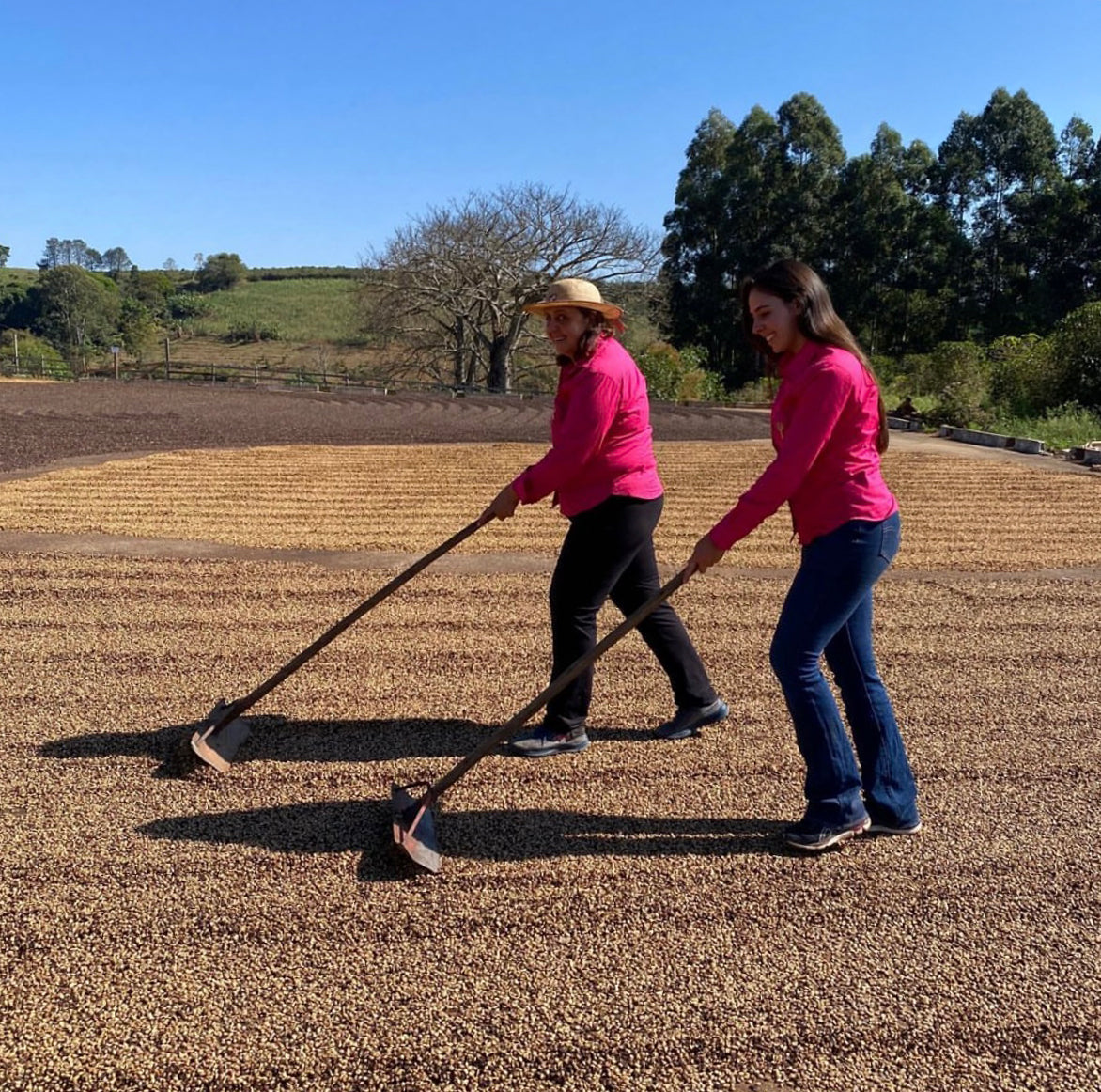 Brazilian Mara Madeira Coffee Producer Mother and Daughter | Origin Coffee Bar | Savannah, Georgia and Hilton Head Island, South Carolina | Specialty Coffee Roaster and Cafe