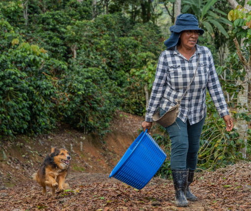 Coffee farmer